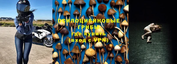 хмурый Кулебаки