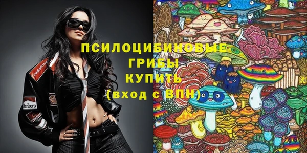 хмурый Кулебаки