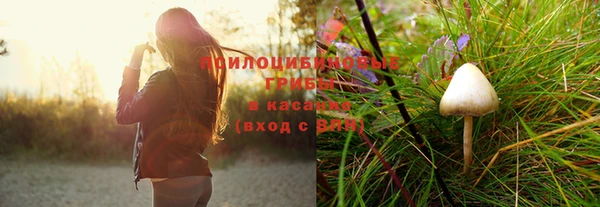 твердый Кукмор
